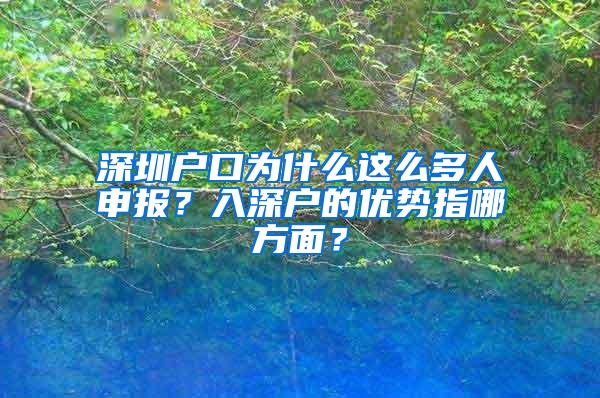 深圳户口为什么这么多人申报？入深户的优势指哪方面？