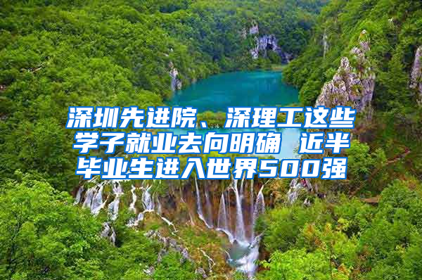 深圳先进院、深理工这些学子就业去向明确 近半毕业生进入世界500强