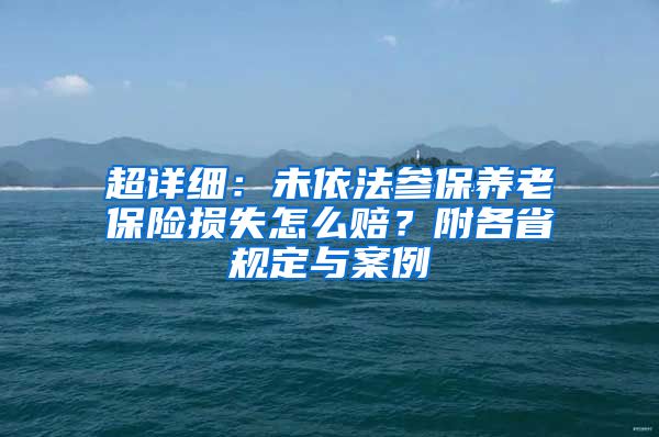 超详细：未依法参保养老保险损失怎么赔？附各省规定与案例