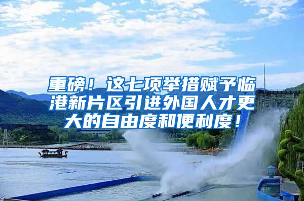 重磅！这七项举措赋予临港新片区引进外国人才更大的自由度和便利度！