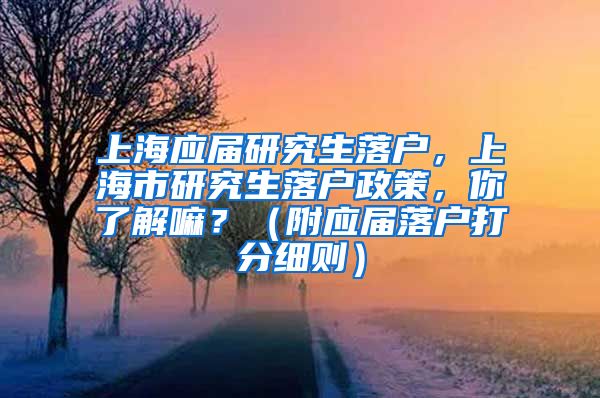 上海应届研究生落户，上海市研究生落户政策，你了解嘛？（附应届落户打分细则）