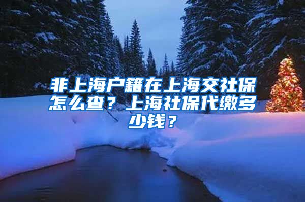 非上海户籍在上海交社保怎么查？上海社保代缴多少钱？