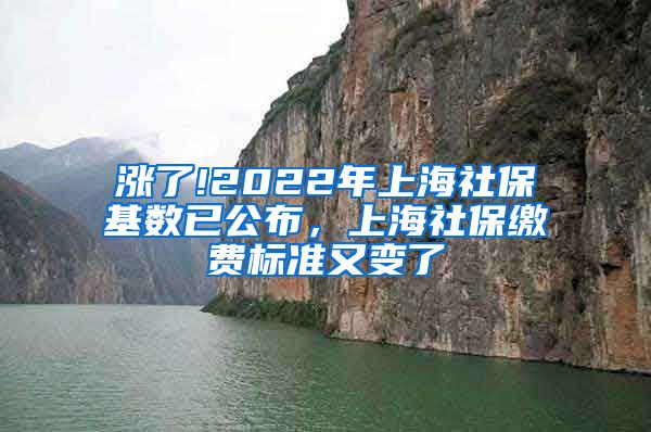 涨了!2022年上海社保基数已公布，上海社保缴费标准又变了