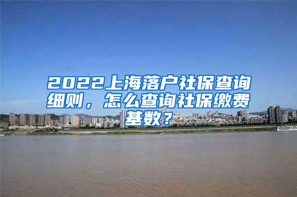 2022上海落户社保查询细则，怎么查询社保缴费基数？