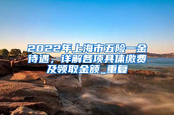 2022年上海市五险一金待遇，详解各项具体缴费及领取金额_重复