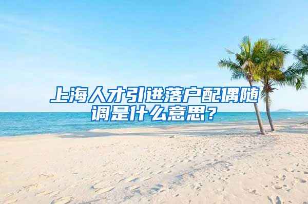 上海人才引进落户配偶随调是什么意思？