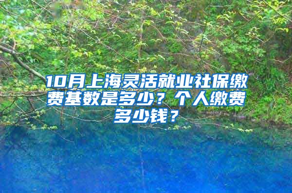 10月上海灵活就业社保缴费基数是多少？个人缴费多少钱？