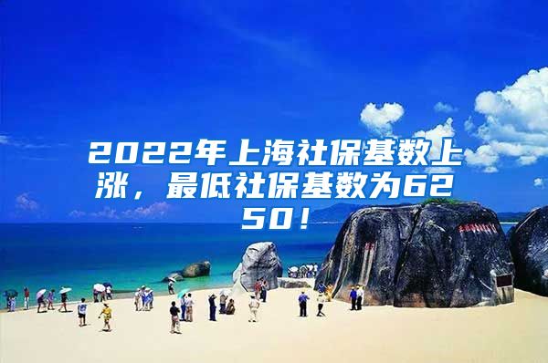 2022年上海社保基数上涨，最低社保基数为6250！