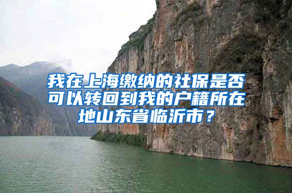 我在上海缴纳的社保是否可以转回到我的户籍所在地山东省临沂市？