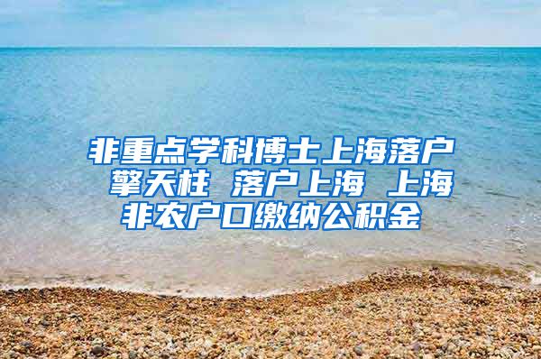 非重点学科博士上海落户 擎天柱 落户上海 上海非农户口缴纳公积金