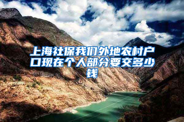 上海社保我们外地农村户口现在个人部分要交多少钱