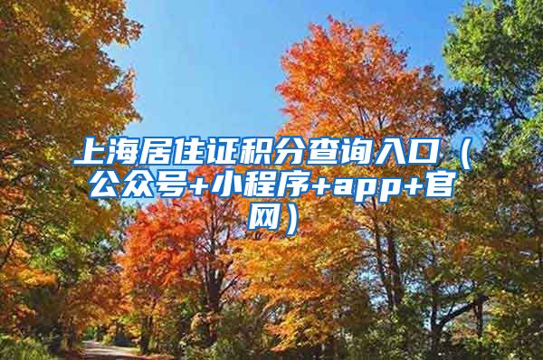 上海居住证积分查询入口（公众号+小程序+app+官网）