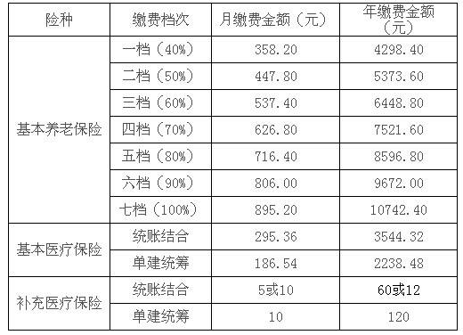 2.社保账户费用缴纳.png