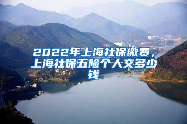 2022年上海社保缴费，上海社保五险个人交多少钱