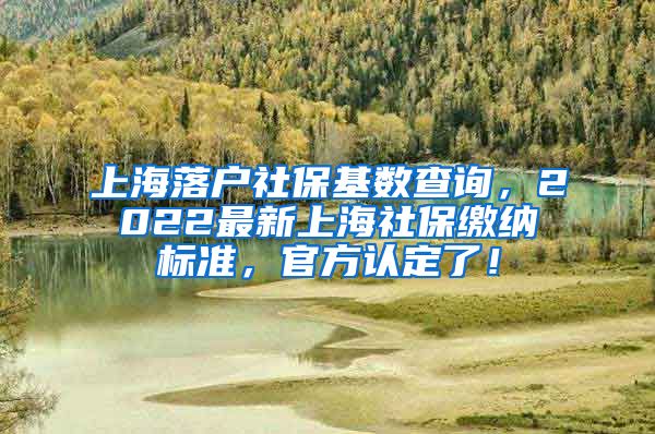 上海落户社保基数查询，2022最新上海社保缴纳标准，官方认定了！