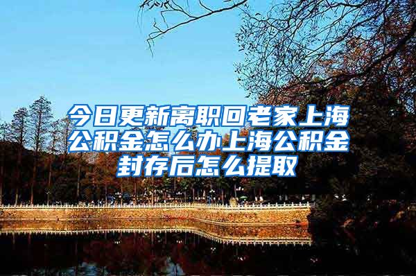 今日更新离职回老家上海公积金怎么办上海公积金封存后怎么提取