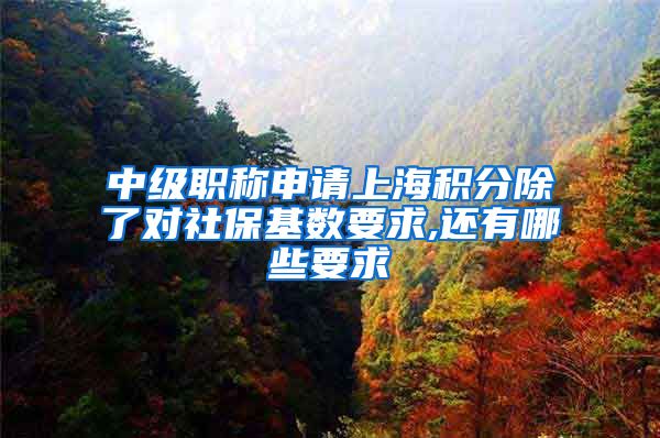 中级职称申请上海积分除了对社保基数要求,还有哪些要求