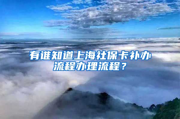 有谁知道上海社保卡补办流程办理流程？