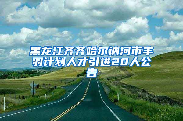 黑龙江齐齐哈尔讷河市丰羽计划人才引进20人公告