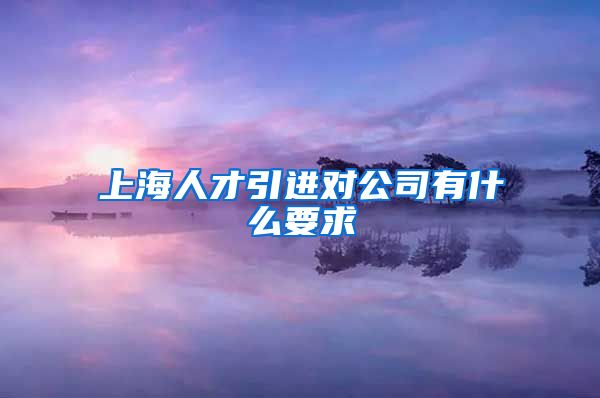 上海人才引进对公司有什么要求