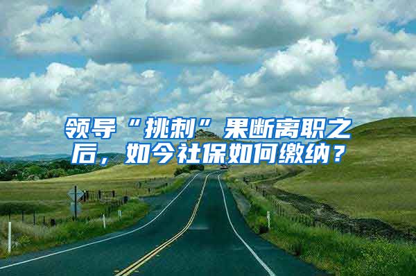 领导“挑刺”果断离职之后，如今社保如何缴纳？