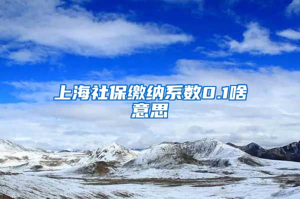 上海社保缴纳系数0.1啥意思