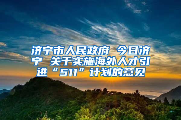 济宁市人民政府 今日济宁 关于实施海外人才引进“511”计划的意见