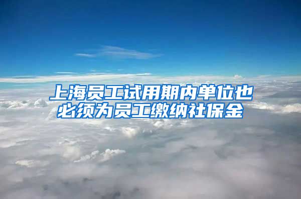 上海员工试用期内单位也必须为员工缴纳社保金