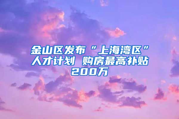 金山区发布“上海湾区”人才计划 购房最高补贴200万