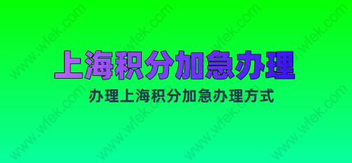 上海积分申请加急办理