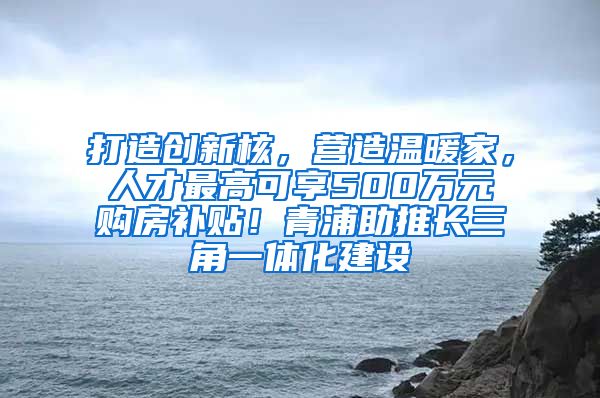 打造创新核，营造温暖家，人才最高可享500万元购房补贴！青浦助推长三角一体化建设