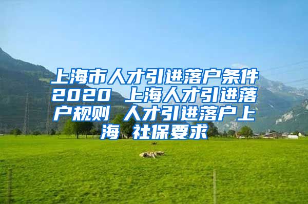 上海市人才引进落户条件2020 上海人才引进落户规则 人才引进落户上海 社保要求