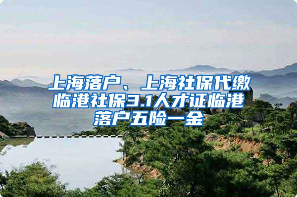 上海落户、上海社保代缴临港社保3.1人才证临港落户五险一金