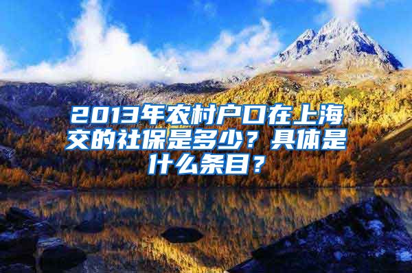 2013年农村户口在上海交的社保是多少？具体是什么条目？