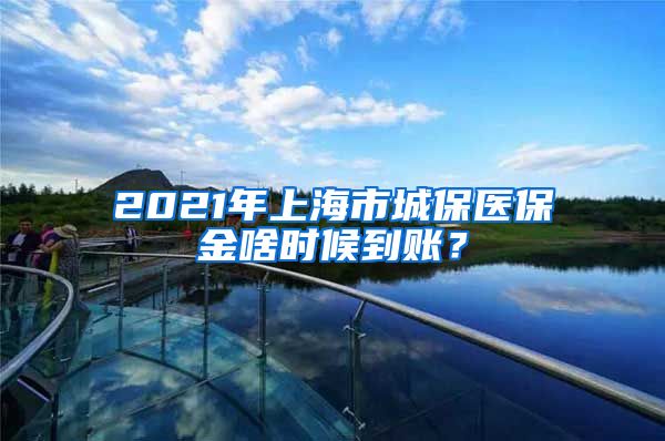2021年上海市城保医保金啥时候到账？