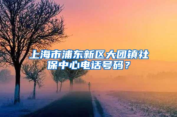 上海市浦东新区大团镇社保中心电话号码？
