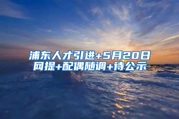 浦东人才引进+5月20日网提+配偶随调+待公示