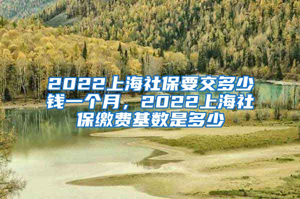 2022上海社保要交多少钱一个月，2022上海社保缴费基数是多少