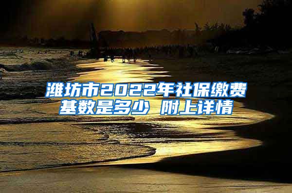 潍坊市2022年社保缴费基数是多少 附上详情