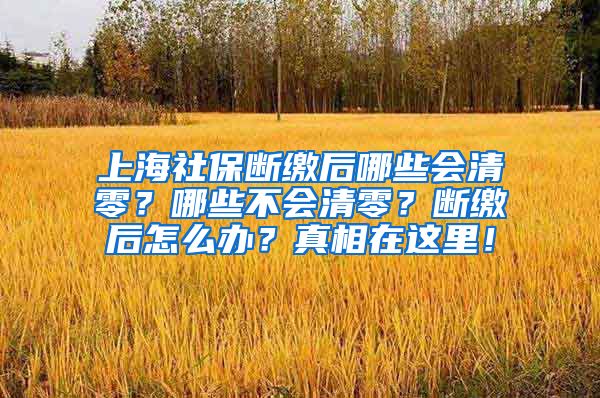 上海社保断缴后哪些会清零？哪些不会清零？断缴后怎么办？真相在这里！