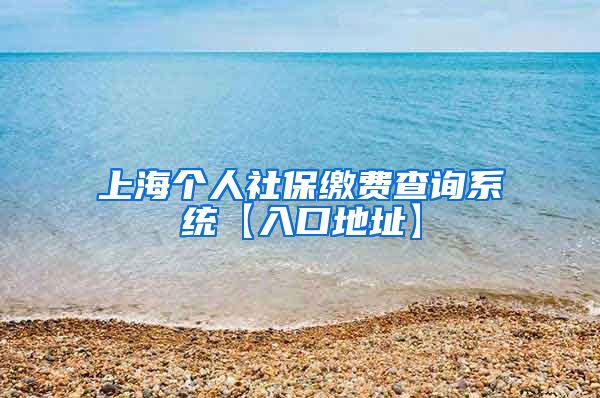 上海个人社保缴费查询系统【入口地址】