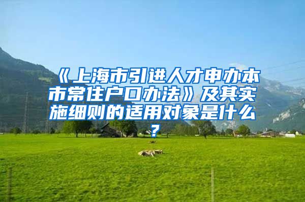 《上海市引进人才申办本市常住户口办法》及其实施细则的适用对象是什么？