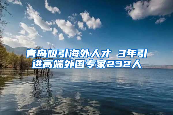 青岛吸引海外人才 3年引进高端外国专家232人