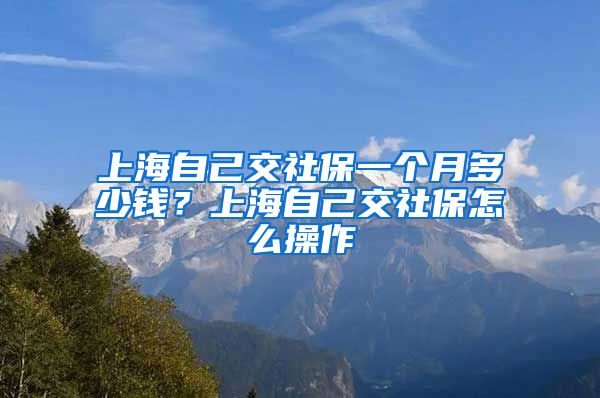 上海自己交社保一个月多少钱？上海自己交社保怎么操作