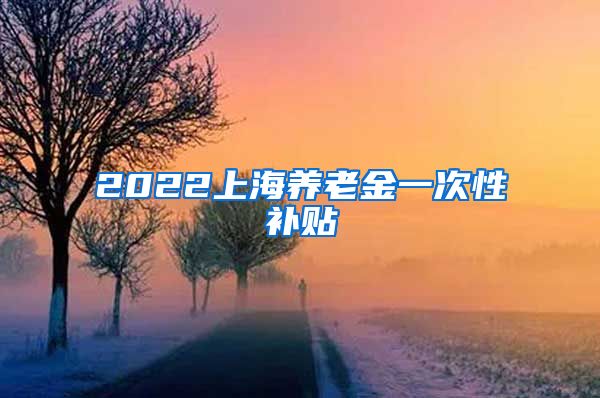 2022上海养老金一次性补贴