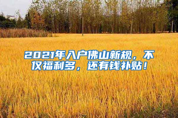 2021年入户佛山新规，不仅福利多，还有钱补贴！