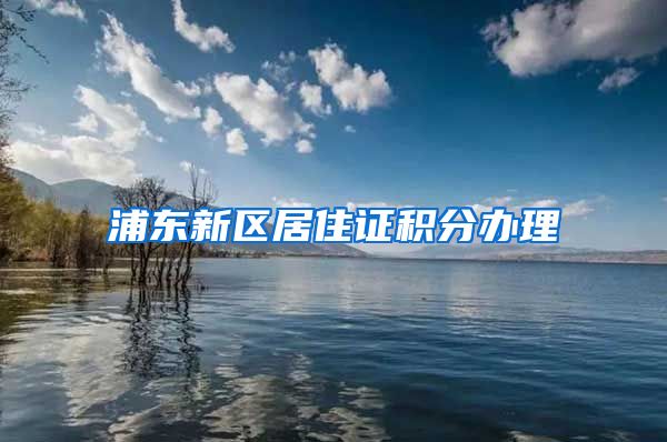 浦东新区居住证积分办理