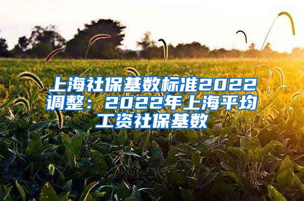 上海社保基数标准2022调整：2022年上海平均工资社保基数