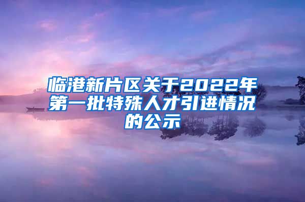 临港新片区关于2022年第一批特殊人才引进情况的公示