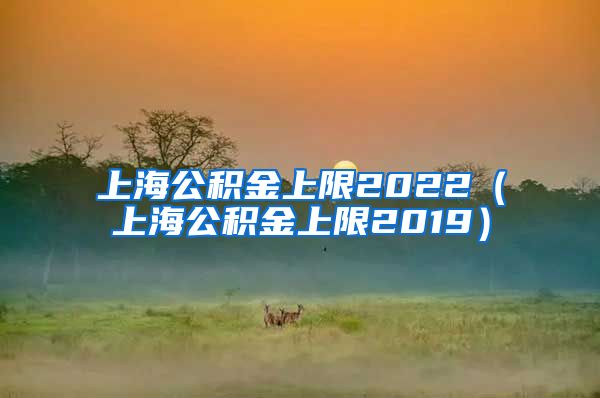 上海公积金上限2022（上海公积金上限2019）